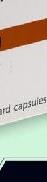 sensorineural,